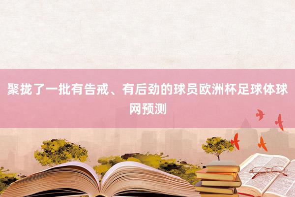 聚拢了一批有告戒、有后劲的球员欧洲杯足球体球网预测