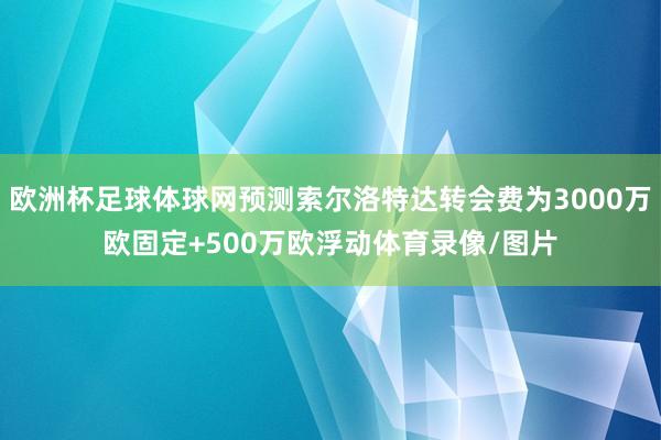 欧洲杯足球体球网预测索尔洛特达转会费为3000万欧固定+500万欧浮动体育录像/图片