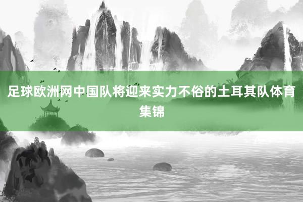 足球欧洲网中国队将迎来实力不俗的土耳其队体育集锦