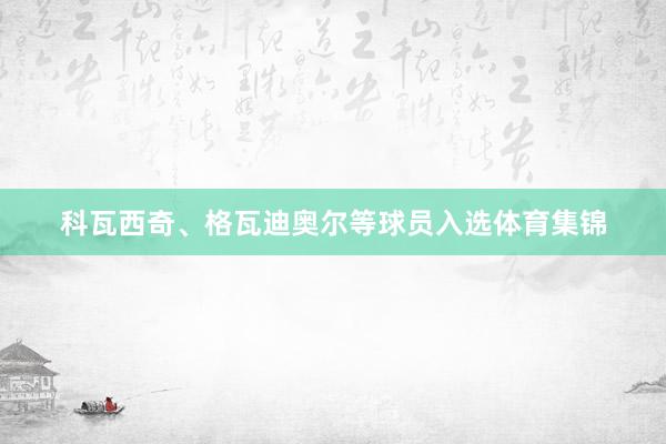 科瓦西奇、格瓦迪奥尔等球员入选体育集锦